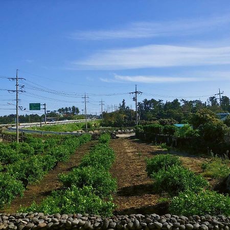 Orchard Samdal Βίλα Σεογκουίπο Εξωτερικό φωτογραφία