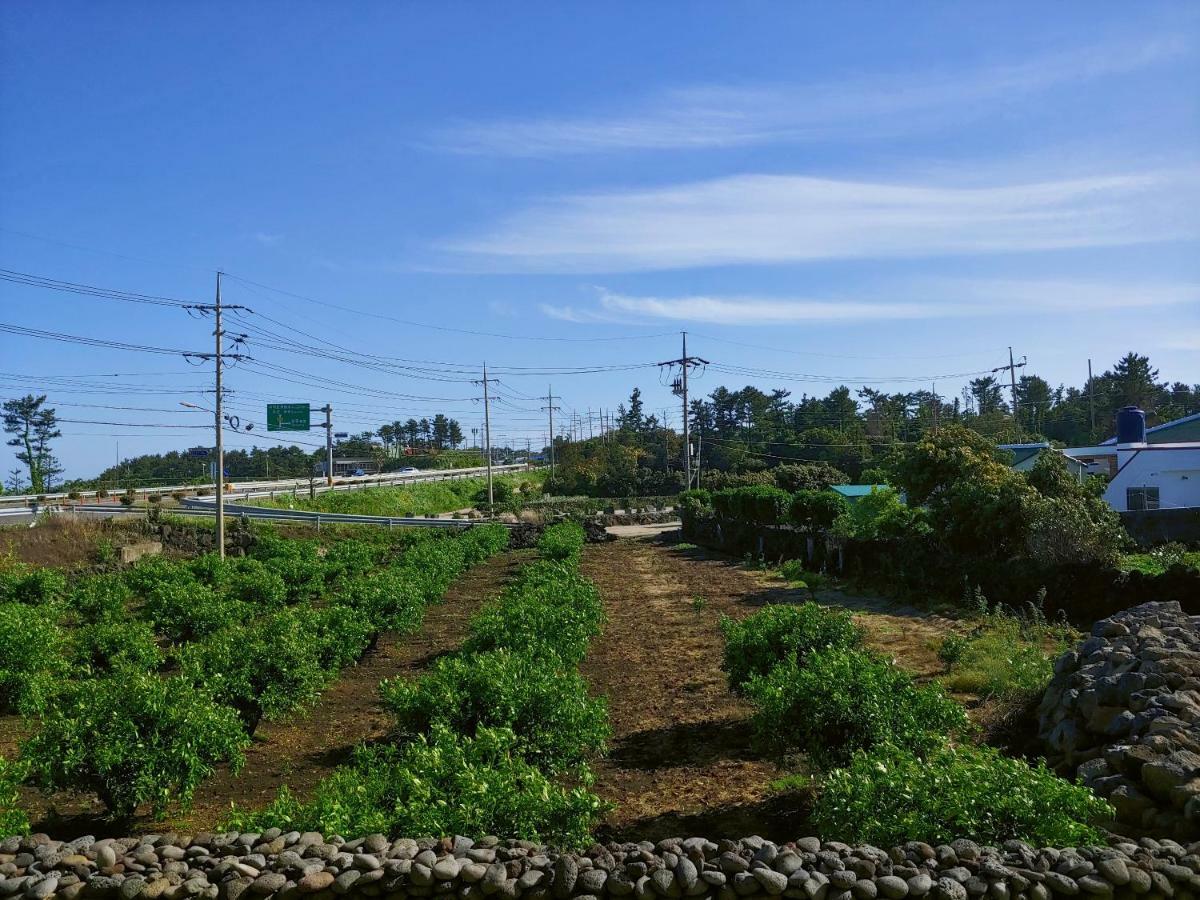 Orchard Samdal Βίλα Σεογκουίπο Εξωτερικό φωτογραφία